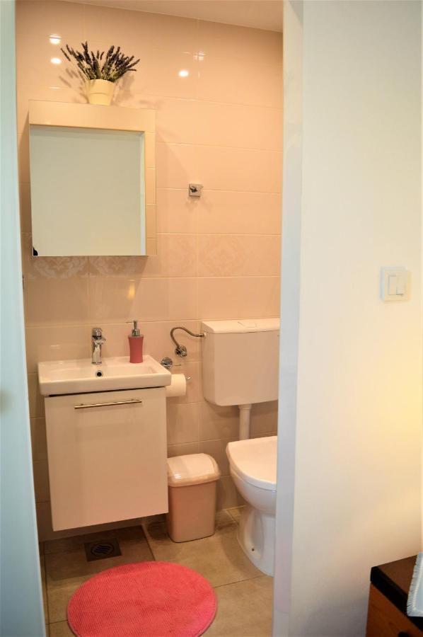 Apartment Marija Vrh  エクステリア 写真